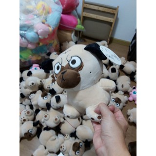 chó mặt quạu.nhăn.size 20cm