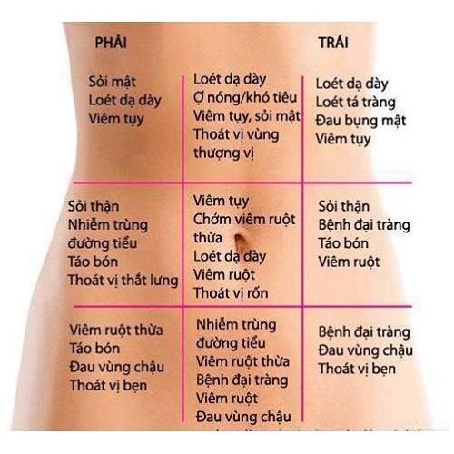 Bột dạ dày thảo mộc ĐÔNG Y DƯỠNG SƠN ĐƯỜNG SDDAY