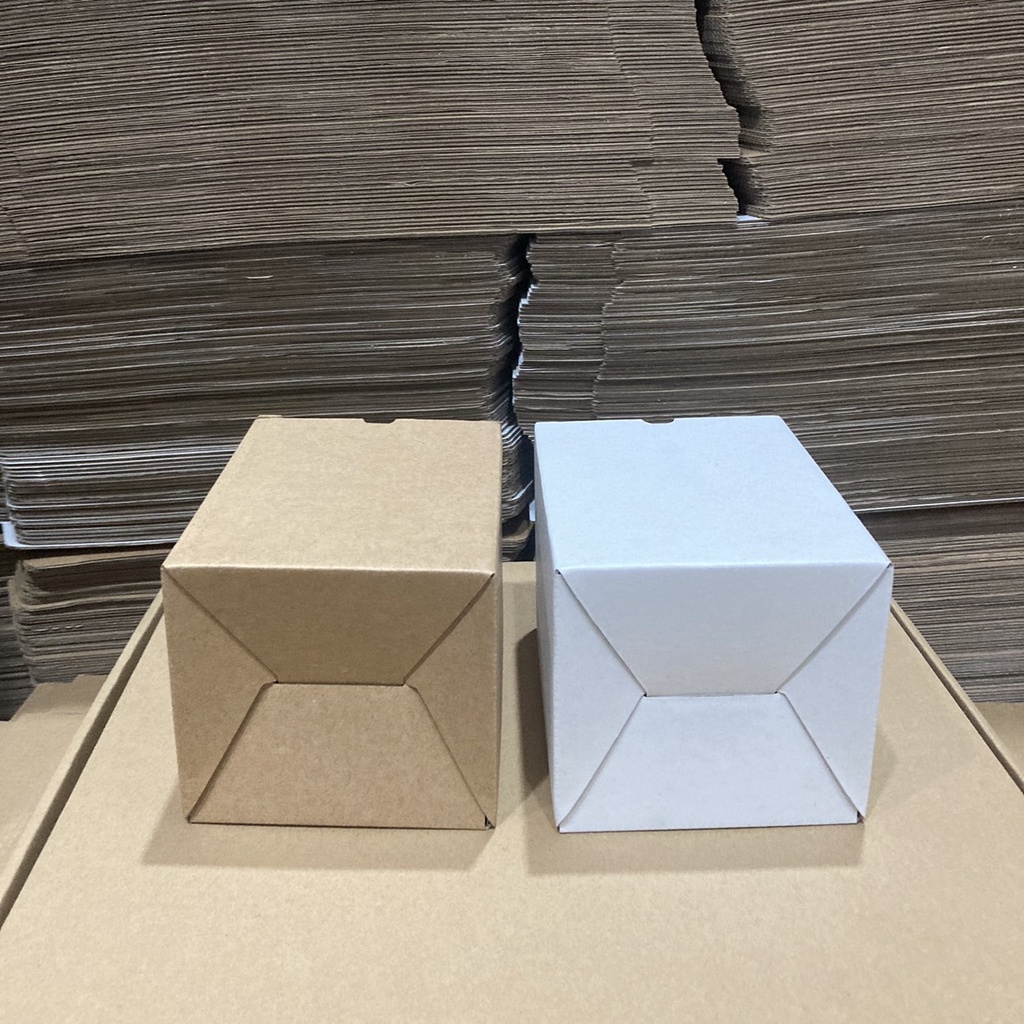 20 HỘP CARTON ĐÁY GÀI NẮP ĐẬY SIZE 10.5X10X14CM