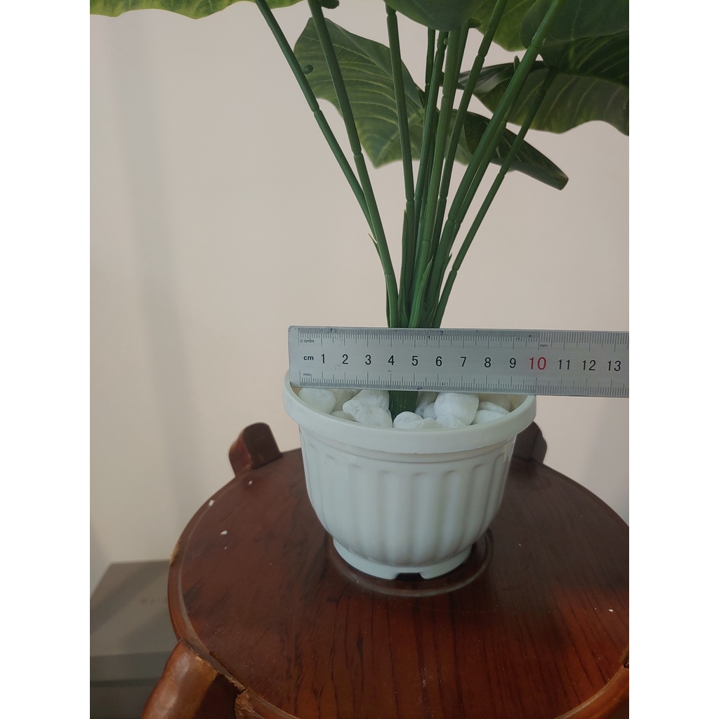 Cây chuối mini, cây trầu bà giả decor, cụm lá trang trí nhà cửa