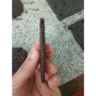 Giá thể bucep- Giá thể nham thạch.