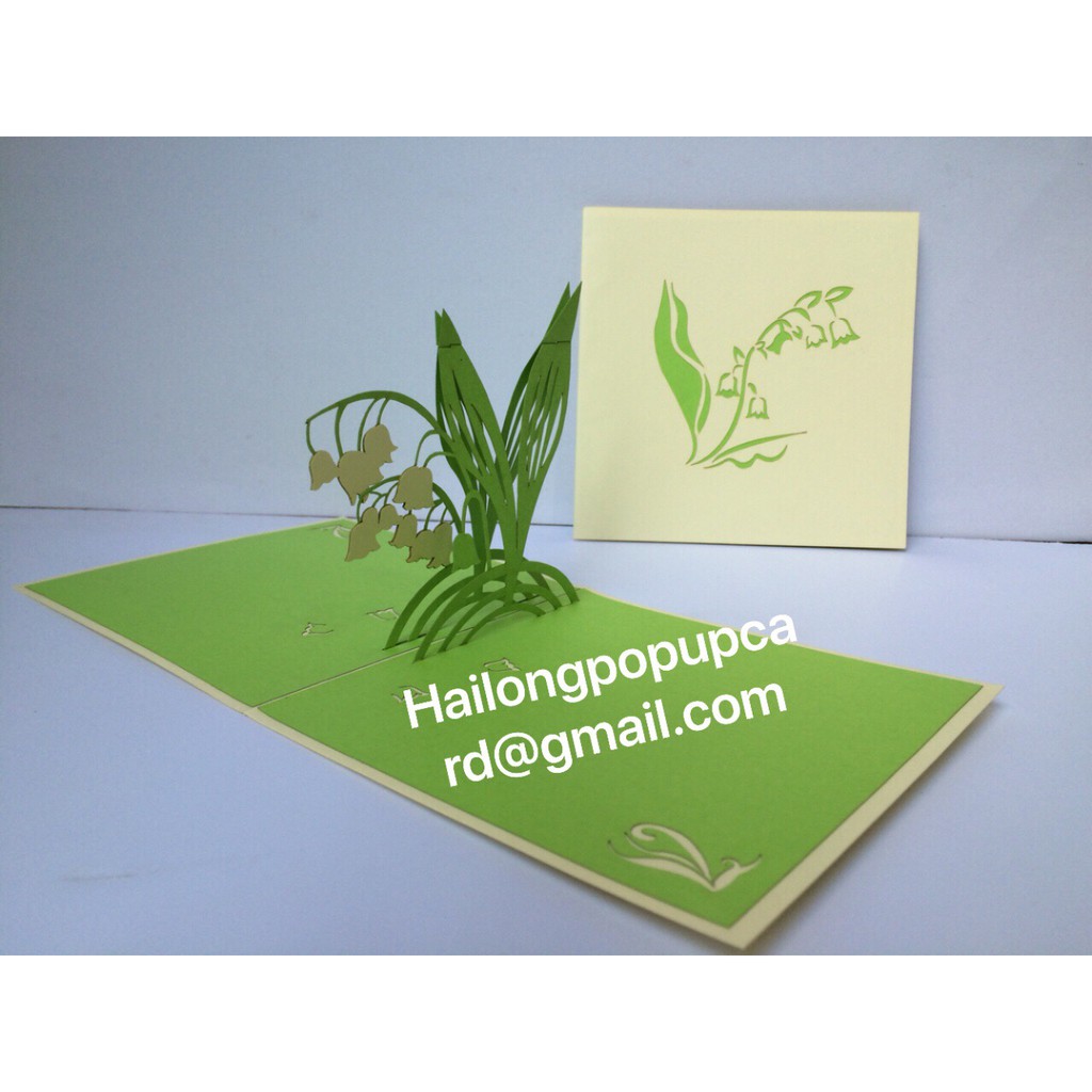 Hoa Lan - Orchid - Flower - Thiệp 3D | BigBuy360 - bigbuy360.vn