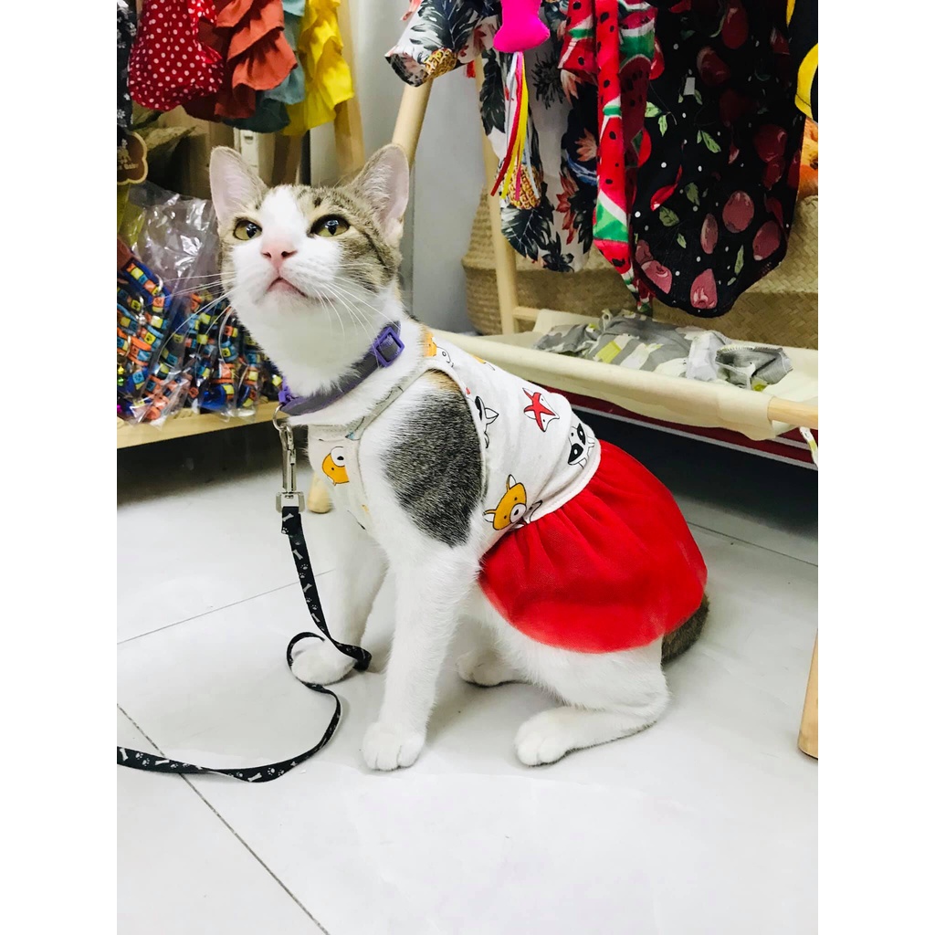 Áo Chó Mèo - Váy Đầm 2 Dây Cotton Phối Lưới