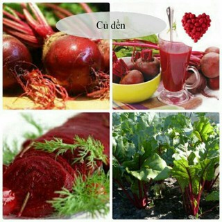 củ dền đỏ 2gr