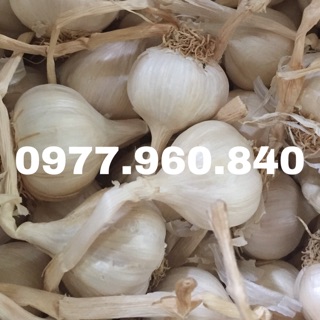 500GR TỎI LÝ SƠN NHIỀU TÉP HÀNG ĐẸP