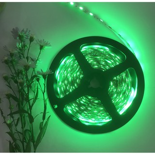 Led dây SMD5050, cuộn 5m 12Vdc (No Water Proof)
