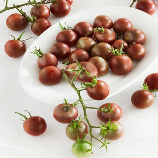 HẠT GIỐNG CÀ CHUA SOCOLA GÓI 30 HẠT