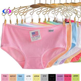 CCVN Quần lót cotton cho nữ