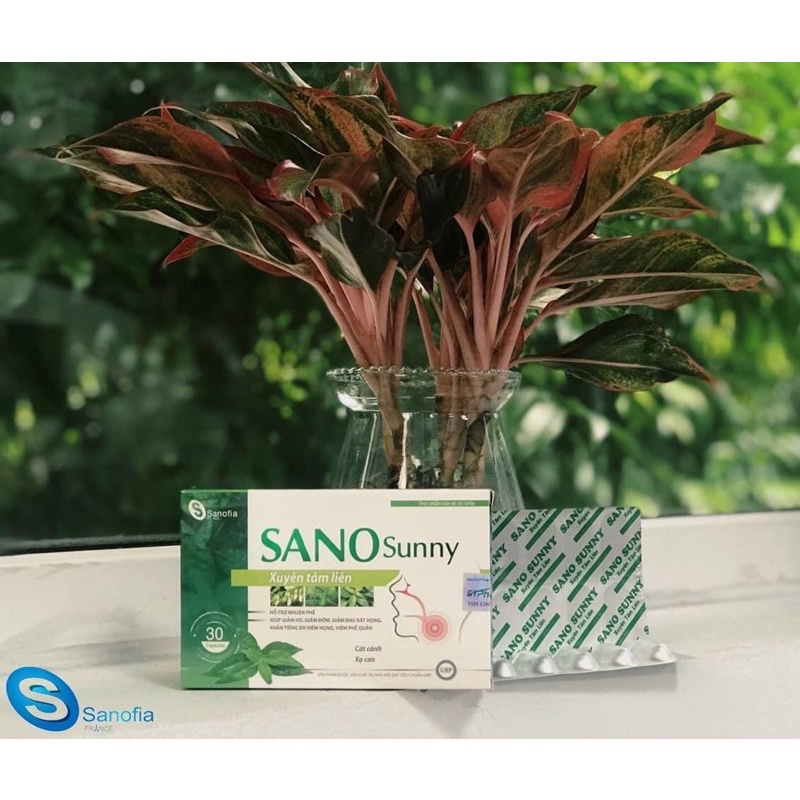Viên uống Xuyên Tâm Liên Sano Sunny nhuận phế giảm ho - NT074