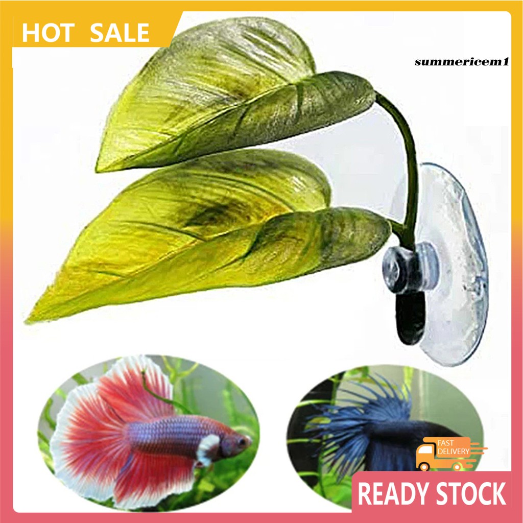 Lá Giả Trang Trí Bể Cá