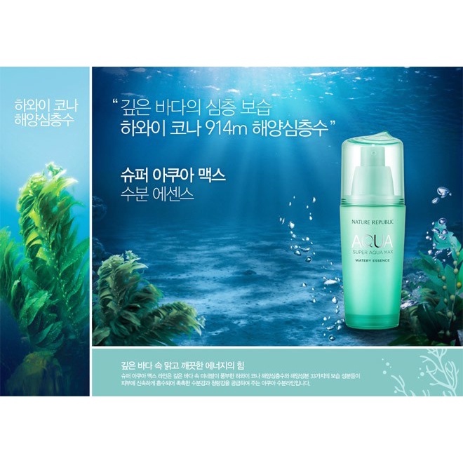 Tinh chất siêu cấp nước Nature Republic - Super aqua max watery essence 42ml
