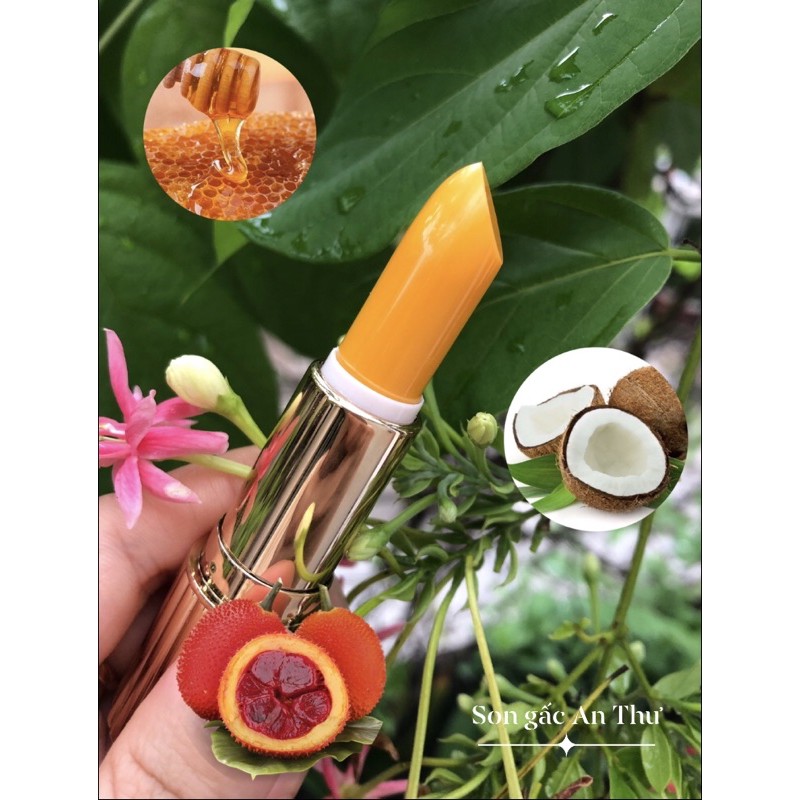 son dưỡng môi gấc