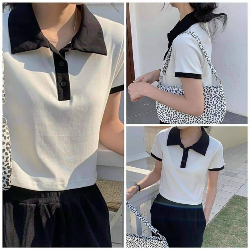 Áo Polo Croptop phối cổ, viền tay