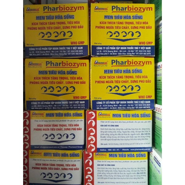 1 Hộp men tiêu hóa sống Pharbiozym