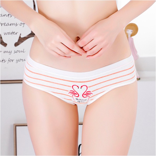 Quần lót nữ cotton cao cấp co giãn kháng khuẩn in hình đáng yêu dễ thương QL25 | BigBuy360 - bigbuy360.vn