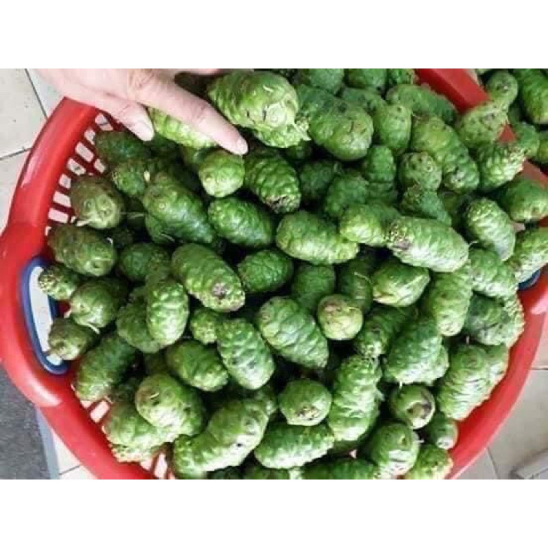 1kg Quả nhàu khô thơm, mới , quả to, cực tốt cho sức khỏe