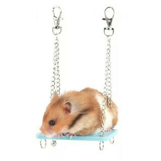 Xích đu gắng lồng cho hamster