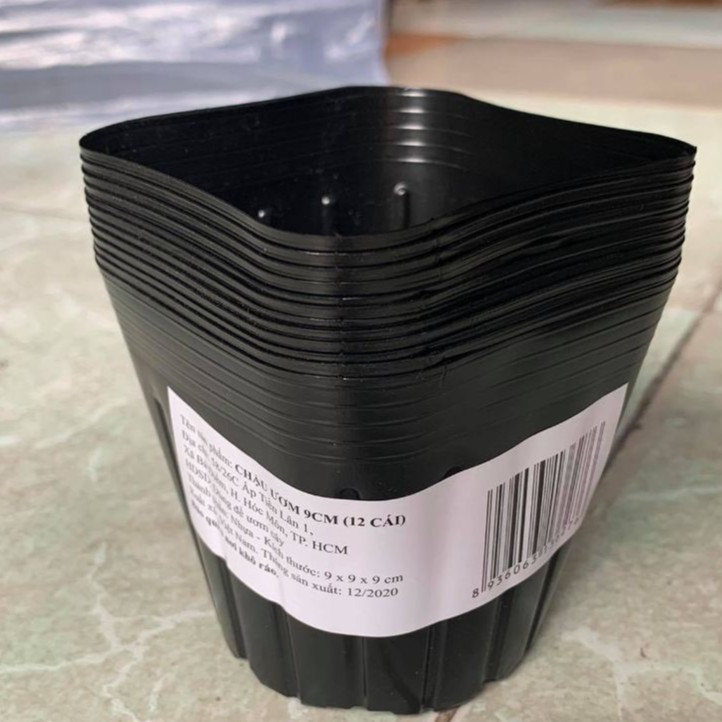 10 Chậu nhựa dẻo màu đen ươm cây 9cm-chh