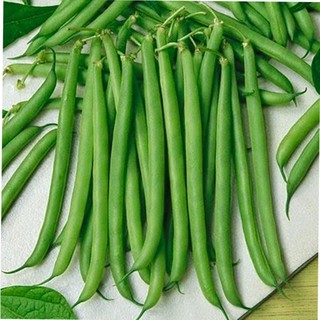Hạt giống Đậu trạch lai