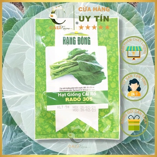 Hạt giống cải rổ rado 305 gói 5gr dễ trồng ăn giòn ngon