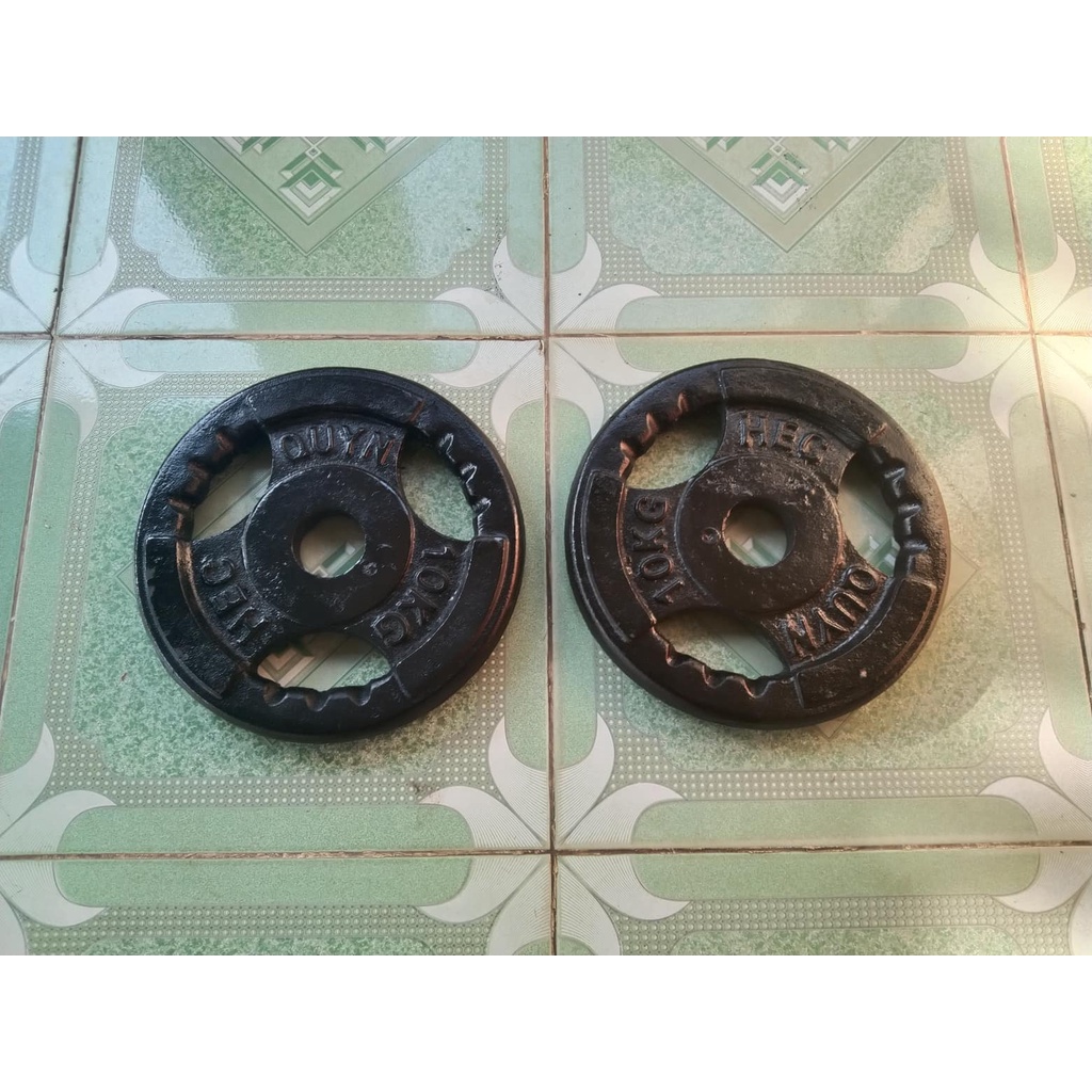 2 Viên Tạ Bánh 10kg Lỗ To Phi 50 Gang Đúc