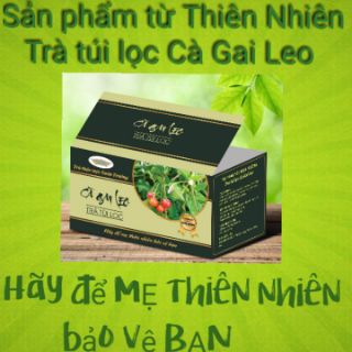 Trà túi lọc cà gai leo