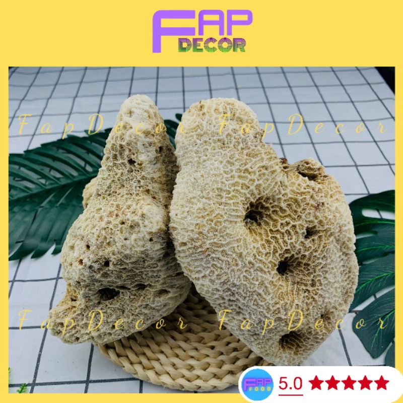 Đá Làm Hòn Non Bộ, Đá Ông Thủy Sinh, Đá Vôi Cứng Họa Tiết Lỗ Làm Hòn Non Bộ, Thủy Sinh Decor Nhà Cửa - FapFood