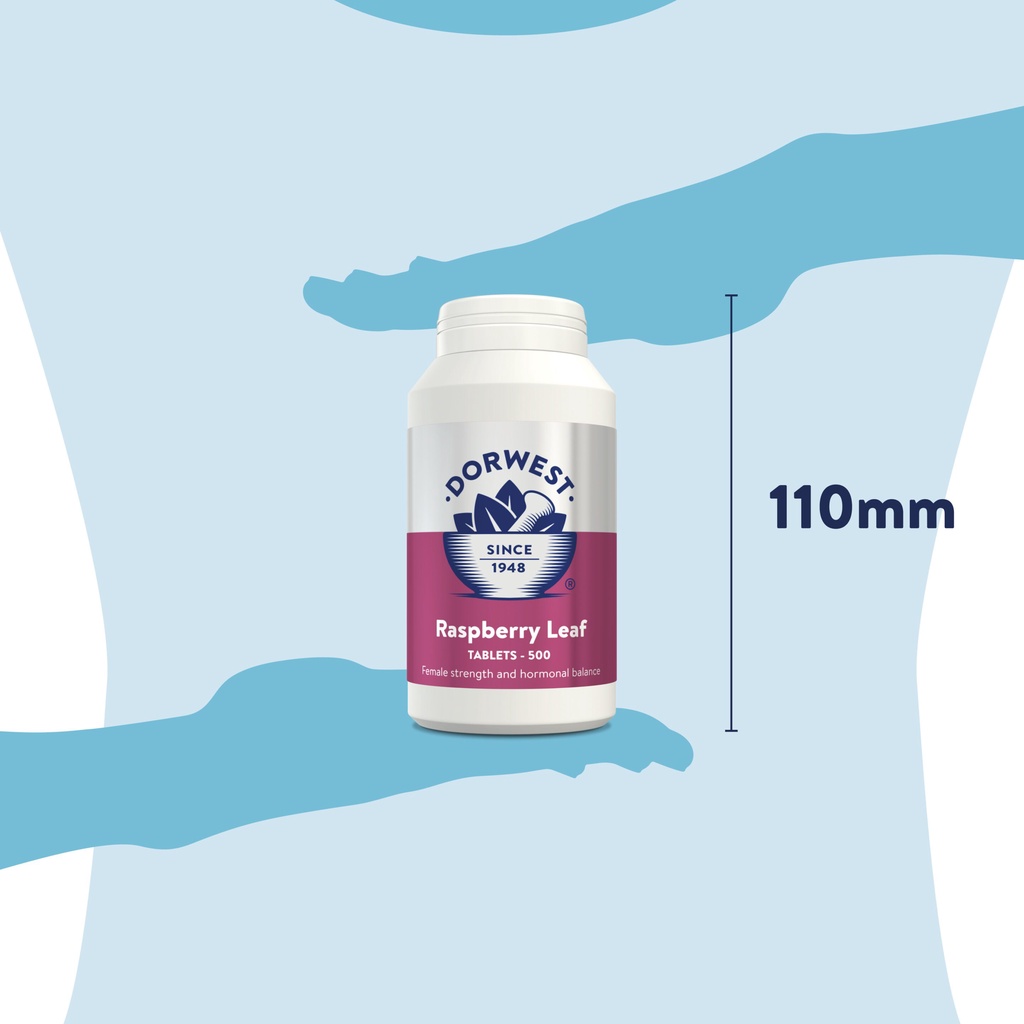 Raspberry Leaf - Dưỡng thai cho chó & mèo 100; 200 & 500 viên