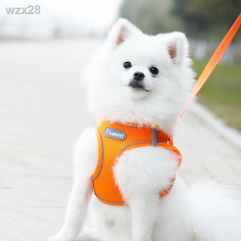 Dây xích cho chó kiểu vest, nhỏ, đeo ngực, con, dắt đi dạo, Teddy, Bichon, Pomeranian