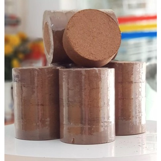 10 Viên Nén Sơ Dừa Ươm Hạt Giống