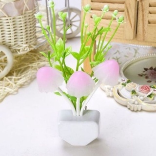 Đèn ngủ cảm ứng hình bình hoa Nấm