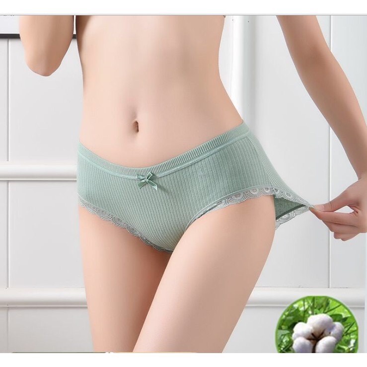 Combo 8 Quần Lót Cotton Tăm Phối Ren Thoáng Khí Thoải Mái Cho Nữ Quần Lót Nữ Mềm Mịn, Thấm Hút Mồ Hôi Mikoda QLN3
