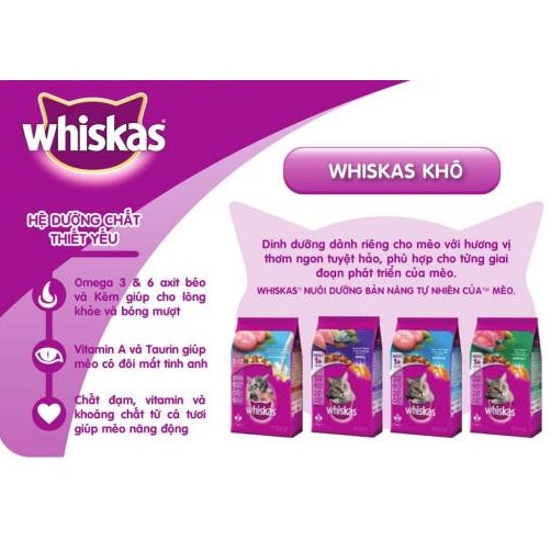 Hạt Thức Ăn Khô Cho Mèo Con Whiskas 1.1kg Vị Cá Biển Và Sữa giá siêu rẻ