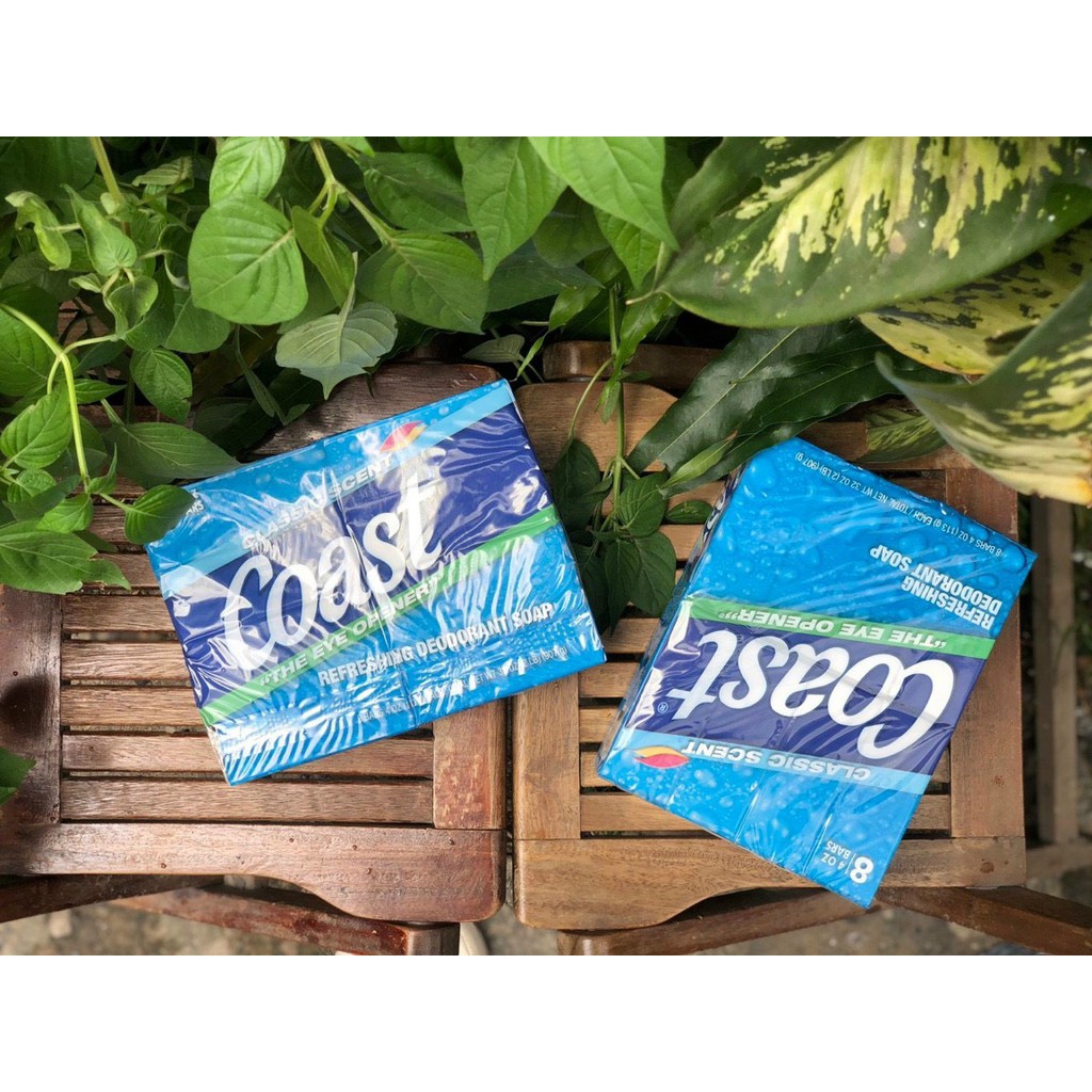 𝗟𝗢̂́𝗖 𝟴 𝗕𝗔́𝗡𝗛 𝗫𝗔̀ 𝗕𝗢̂𝗡𝗚 𝗖𝗨̣𝗖 𝗖𝗢𝗔𝗦𝗧 𝗛𝗔̀𝗡𝗚 𝗠𝗬̃ 𝟭𝟭𝟯𝗴 𝘅𝟴