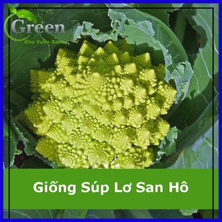 Hạt giống súp lơ san hô