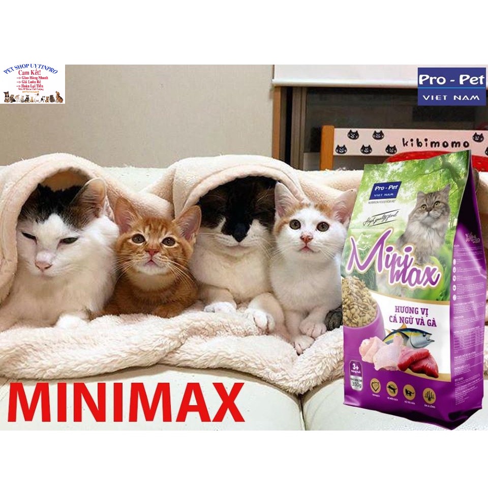 3 Gói Thức ăn hạt cao cấp cho Mèo trên 3 tháng MINIMAX Vị cá ngừ và gà Gói 350g Bổ sung Dinh dưỡng Xuất xứ Pro-Pet VN