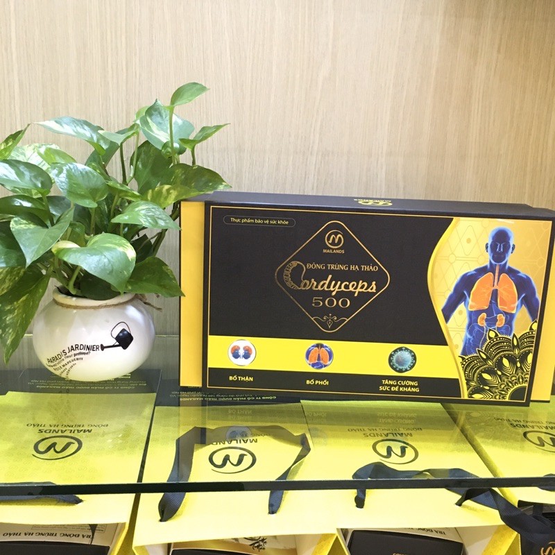 Đông Trùng Hạ Thảo Cordyceps 500(90 viên) | BigBuy360 - bigbuy360.vn