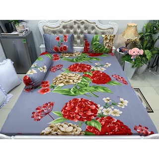 Bộ Drap Thun Hàn Quốc mát lạnh 4 món