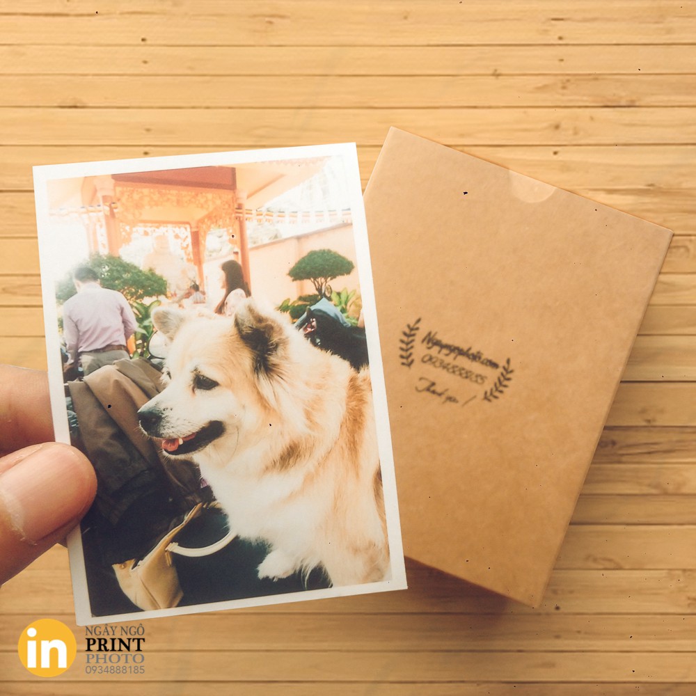 Combo ảnh polaroid 3 | BigBuy360 - bigbuy360.vn