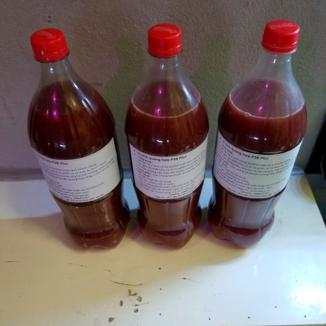 Vi sinh PSB Plus ( chai 1500 ml)