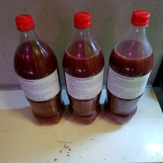 Vi sinh psb plus