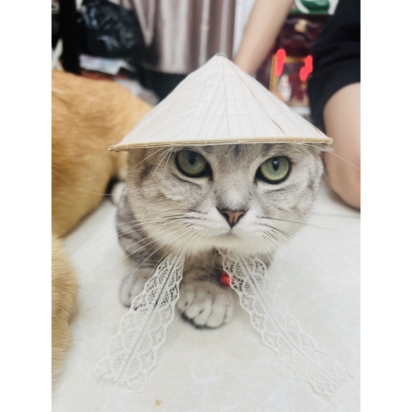 Nón Cói - Mũ Rơm cho Chó Mèo - CHỌN MẪU