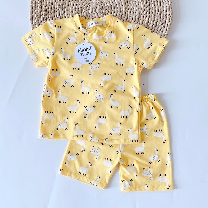 Bộ Minky Mon In Hoạ Tiết ngựa cho bé trai Và bé gái