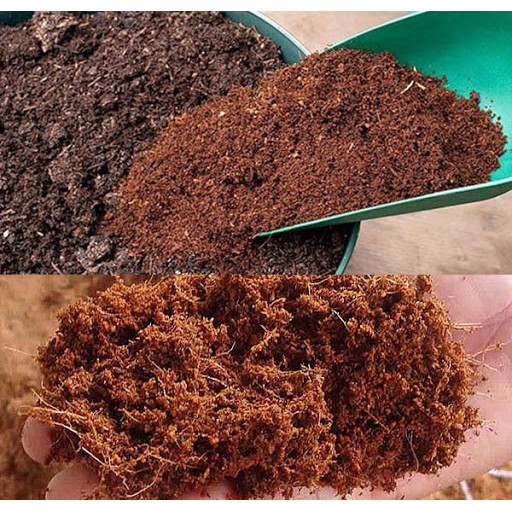 Túi xơ dừa - 500gr