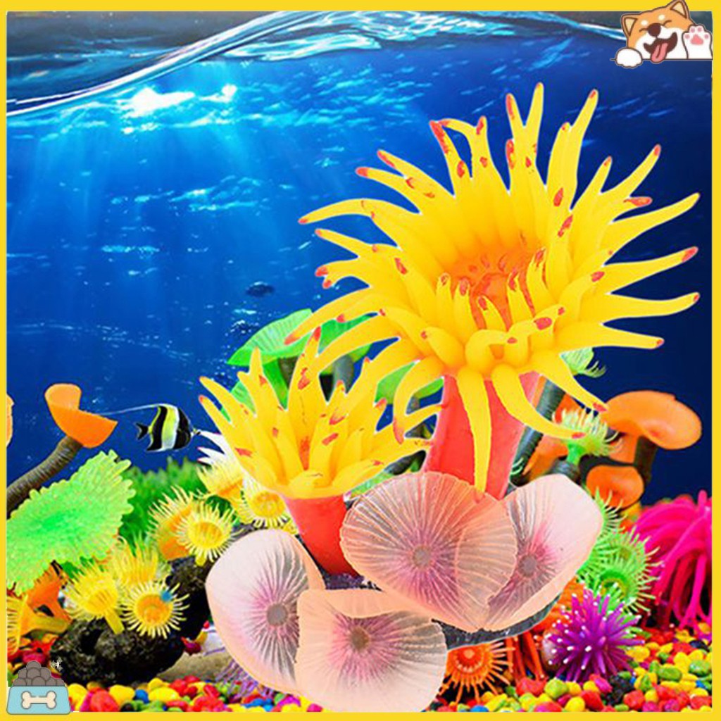 San hô nhân tạo nhiều màu sắc trang trí hồ cá