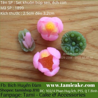 Bộ khuôn silicon búp sen Thái, gương sen và ếch con 1899