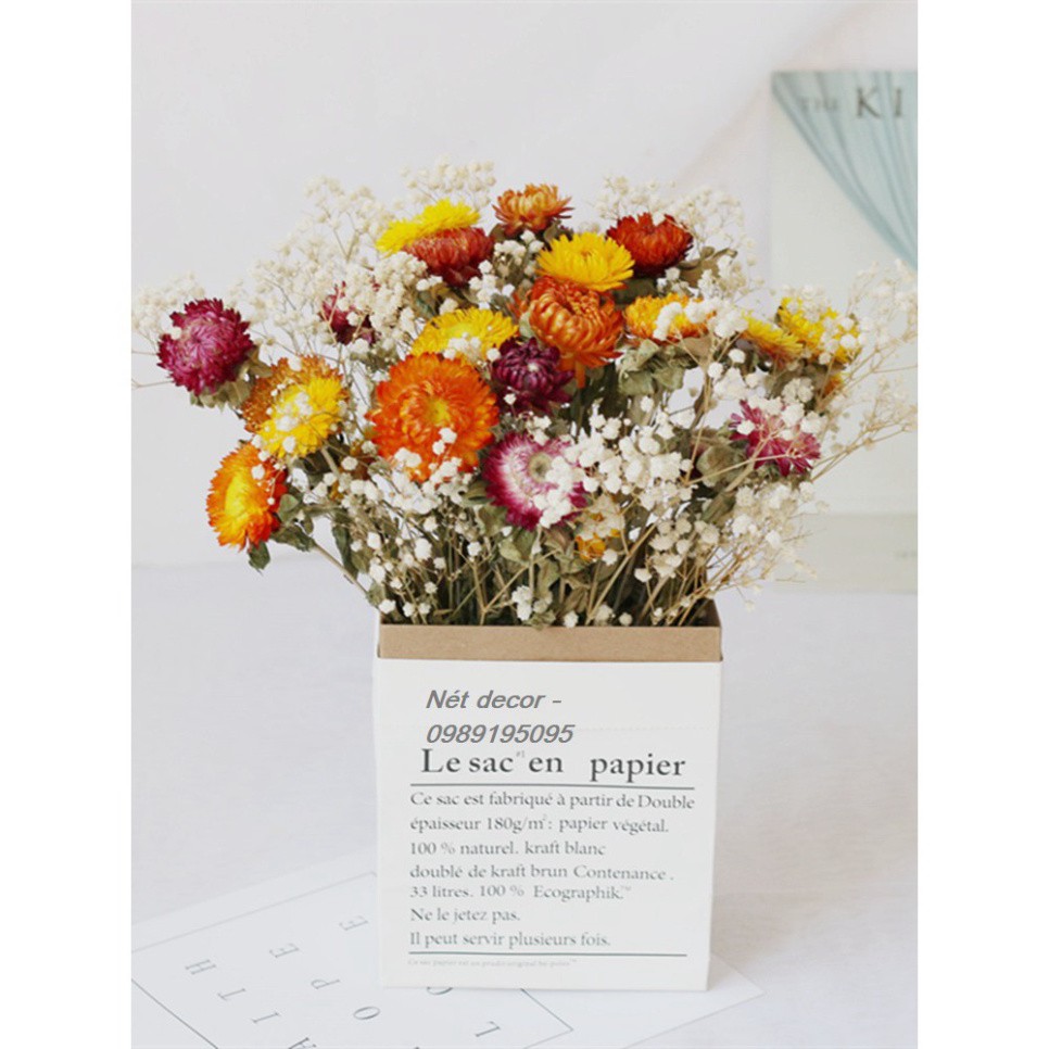 🌸Hoa cúc bất tử🌸 hoa khô vĩnh cửu🌸phong cách vintage