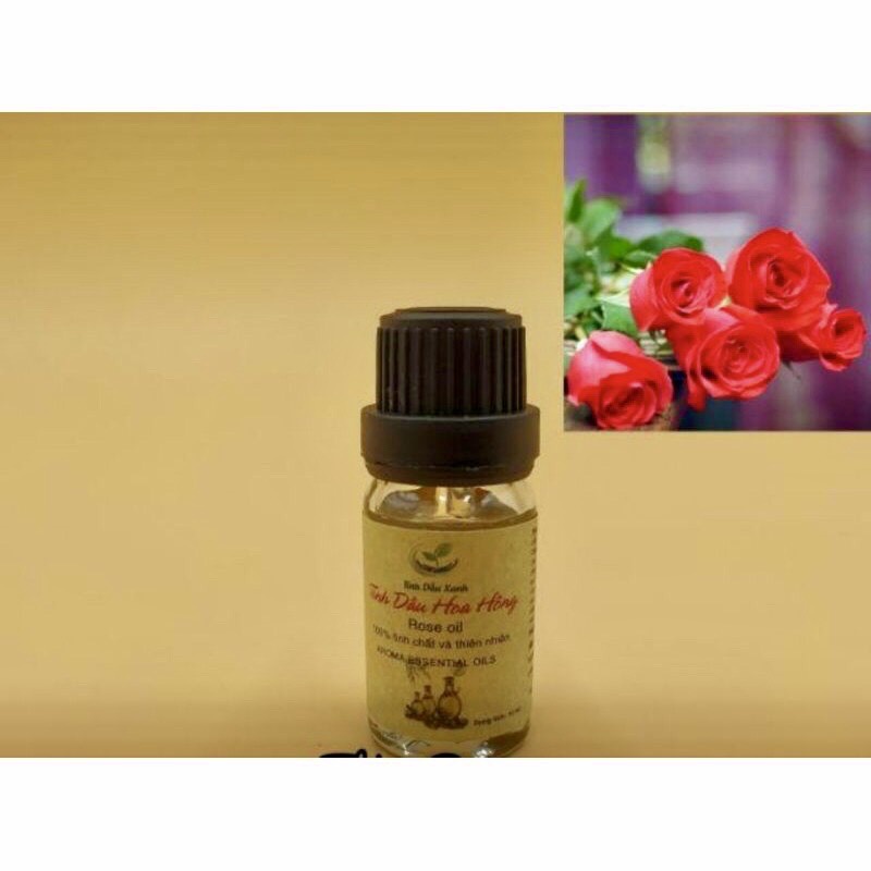 Đèn Xông Tinh Dầu Đuổi Muỗi Giốm Sứ Bát Tràng sezi To, oasis-mart