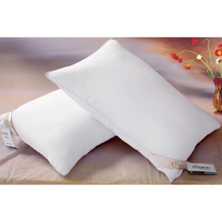 Cặp ruột gối everron chính hãng-2 chiếc