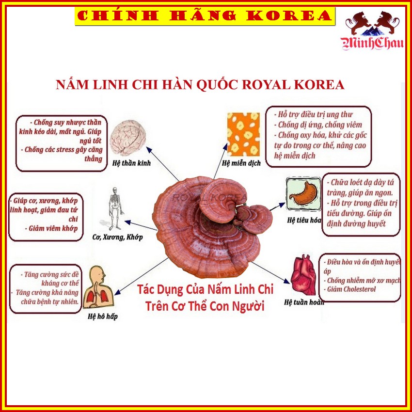 Nấm Linh Chi Hàn Quốc Chính Hãng, Nấm Hộp Quà 1kg, minhchau